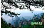 【純玩獨(dú)立成團(tuán)線路1】張家界、袁家界、天子山、寶峰湖/黃龍洞二晚三日