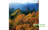 長沙往返張家界、天子山、寶峰湖/黃龍洞三日游