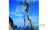 湘西之旅：張家界、天子山、寶峰湖/黃龍洞、鳳凰古城、猛洞河漂流、天門(mén)山六日游