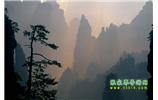 張家界國(guó)家森林公園、寶峰湖/黃龍洞、鳳凰古城、三峽八日游