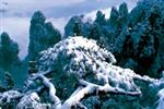 【純玩拼團(tuán)線路18】下午班：鳳凰古城、張家界、天子山三晚四日游