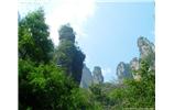 【純玩拼團(tuán)線路 張家界出發(fā)A2線】張家界、袁家界、天子山、金鞭溪、鳳凰古城2晚3日游